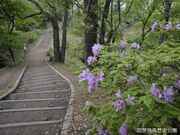 国営飛鳥歴史公園甘樫丘地区の写真2