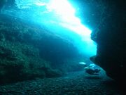 青海島ダイビングセンターの写真2