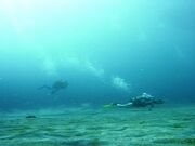 青海島ダイビングセンターの写真3