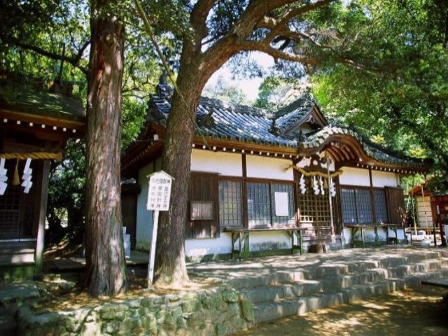 国玉神社の写真1