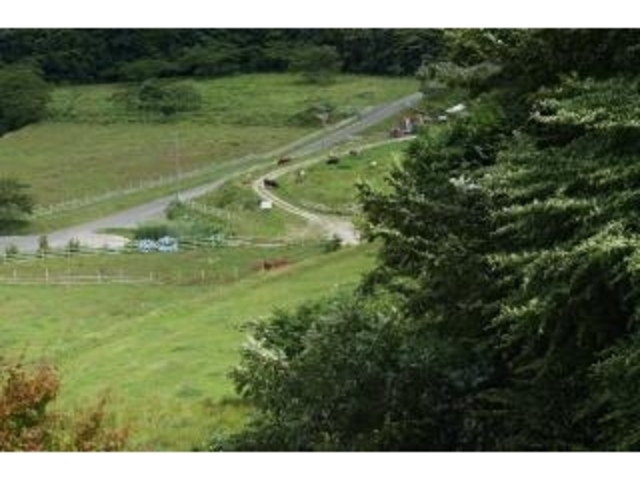ダムの見える牧場 牧場探検とバター作りの写真1