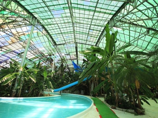巨大温室内には屋内プール_白浜フラワーパーク