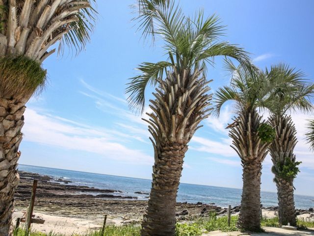 施設からすぐに行ける海岸_白浜フラワーパーク