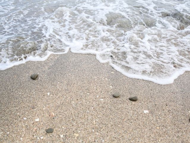 透明度抜群の海で海水浴も可能_白浜フラワーパーク