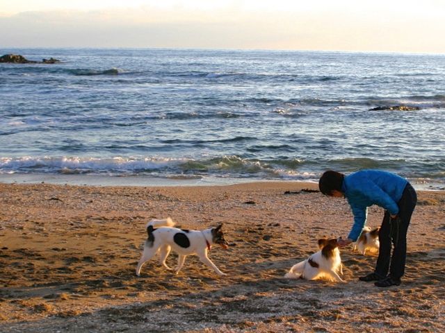 天然ドックラン_白浜フラワーパーク