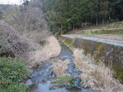 田代川沿いの写真1