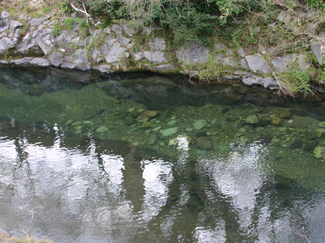 稲積水中鍾乳洞付近 白山川