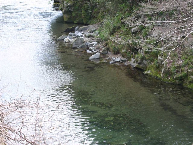 稲積水中鍾乳洞付近 白山川