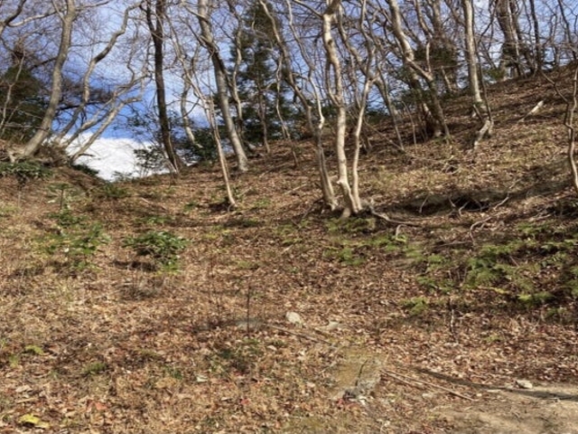 水沼山・鷹巣山の写真1