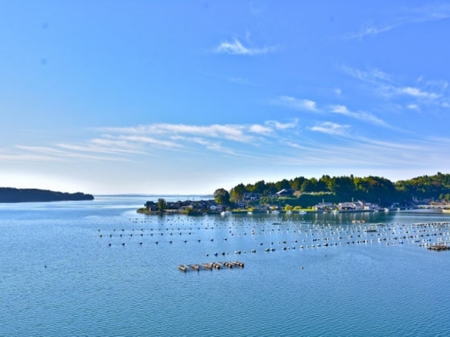 中居湾ふれあいパークの写真1