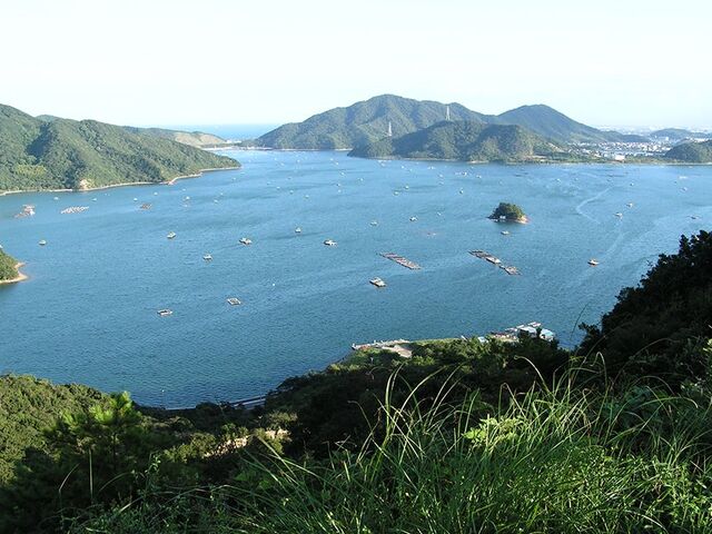 ウチノ海(筏釣り)の写真1