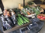 カナルファーム(体験型農園)の写真2