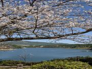 緑川ダム休憩所の写真3