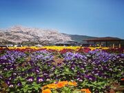 緑川ダム休憩所の写真4