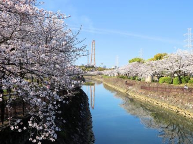 平和市民公園の写真1