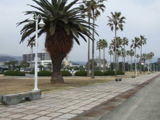 上人ヶ浜公園の写真1