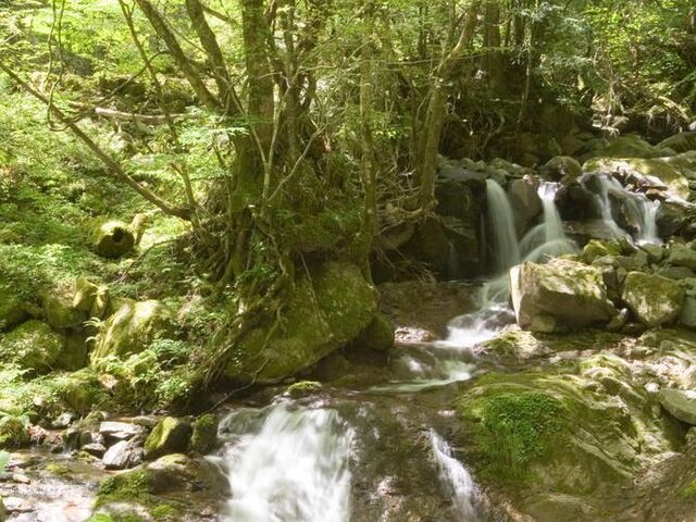 御前岳湧水の写真1