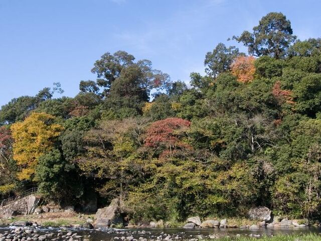 亀山公園の写真1