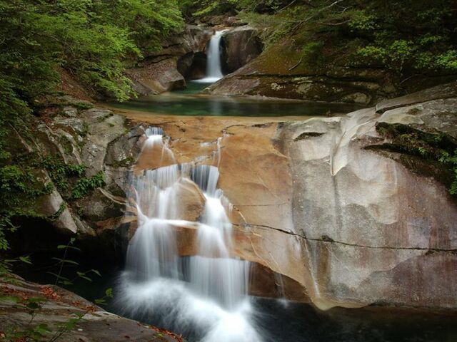 藤河内渓谷の写真1