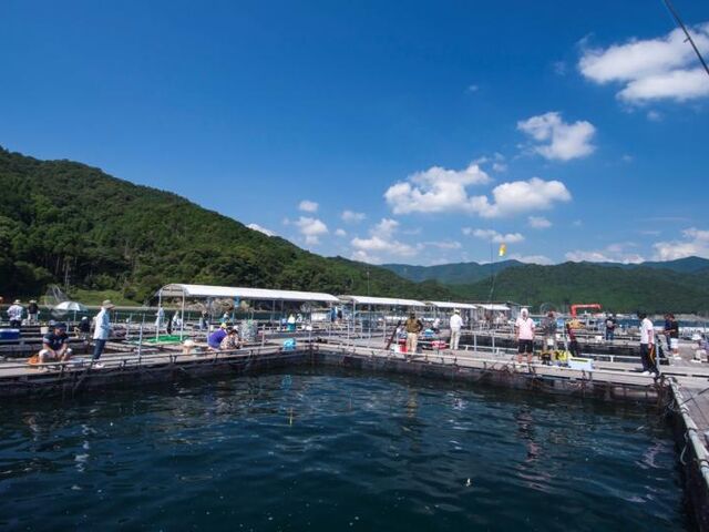 釣っちゃ王の写真1