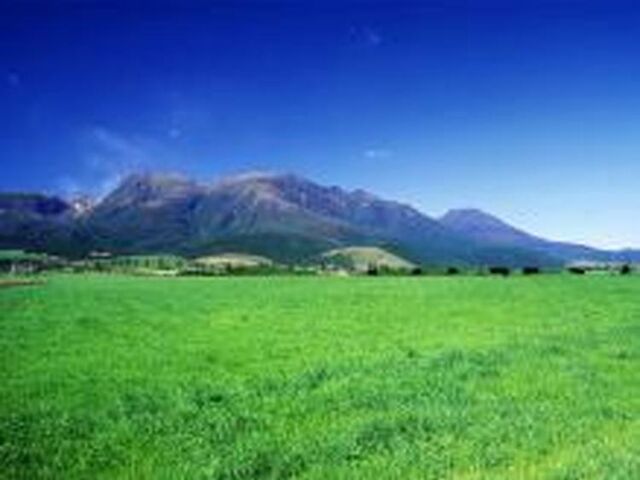 久住高原の写真1