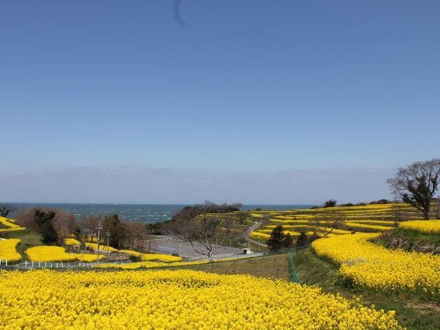 長崎鼻リゾートキャンプ場・海水浴場の写真1