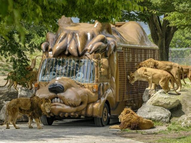 九州自然動物公園 アフリカンサファリの写真1