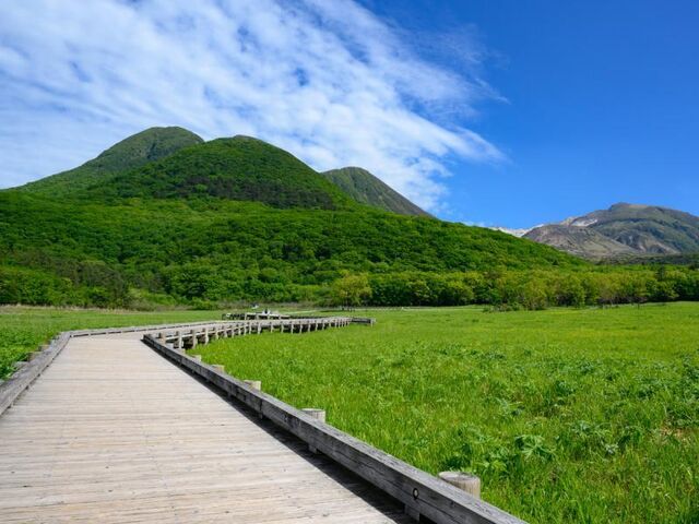 タデ原湿原の写真1