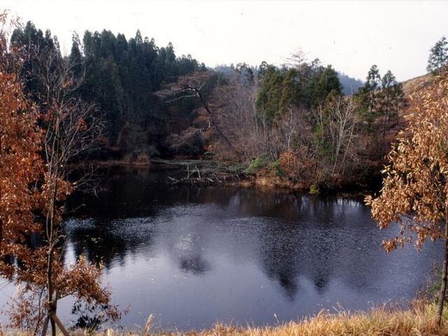 鶴ヶ原の景の写真1