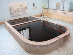王子温泉の写真1