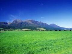 久住高原の写真1