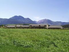 九重やまなみ牧場の写真1