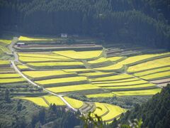 山浦早水棚田の写真1