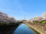 平和市民公園の写真2