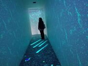 別府タワーの写真3