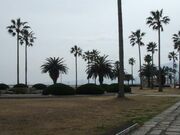 上人ヶ浜公園の写真3