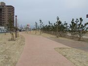 餅ヶ浜海浜公園の写真2