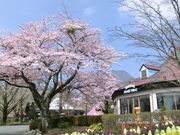 城島高原パークの写真4