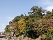 亀山公園の写真2