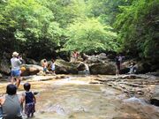 藤河内渓谷の写真2