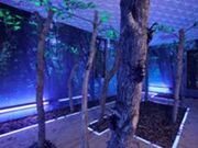 かぶとむしふれあい館の写真2