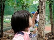 かぶとむしふれあい館の写真3