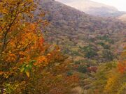 久住高原の写真2