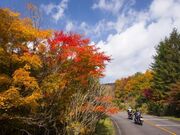 久住高原の写真3