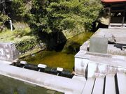 老野湧水の写真2