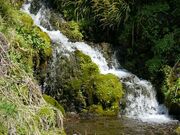 老野湧水の写真3