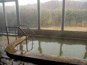 七里田温泉館 木乃葉の湯の写真2