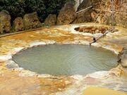 七里田温泉館 木乃葉の湯の写真3