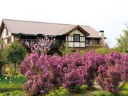 大神ファームの写真1