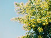 大神ファームの写真5